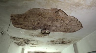 Görünür çatlakları ve metal bir aydınlatma armatürü olan yaşlanmış bir tavan. Her yerde küf var. Alet beyaz bir porselen sokete sahip ve toz ve pas ile kaplı. Tavanda pislik var..