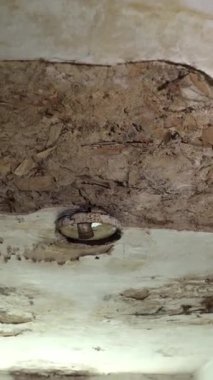 Dikey video. Görünür çatlakları ve metal bir aydınlatma armatürü olan yaşlanmış bir tavan. Her yerde küf var. Alet beyaz bir porselen sokete sahip ve toz ve pas ile kaplı. Tavanda pislik var.