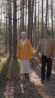 Dikey video. Yaşlı bir çift, uzun ağaçların arasından süzülen sonbahar güneşinin tadını çıkararak, bir orman yolu boyunca el ele dolaşır. Neşeli ifadeleri, neşeli yoldaşlıklarını yansıtıyor..