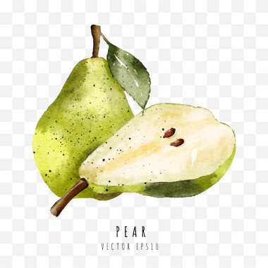 Beyaz arkaplanda izole edilmiş suluboya resim, Vektör illüstrasyonu