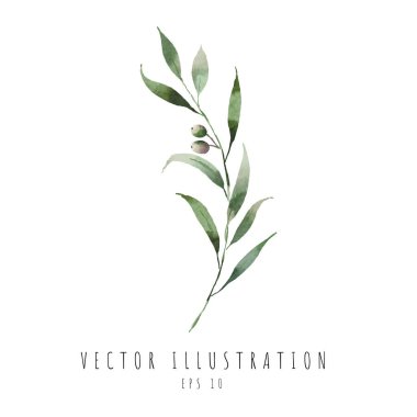 Yaprakların zeytin eğrisi, suluboya dijital resim