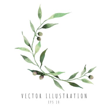 Zeytin yaprakları daire şeklinde suluboya dijital resim