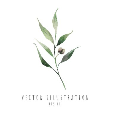 Zeytin suluboya dijital resim bırakır