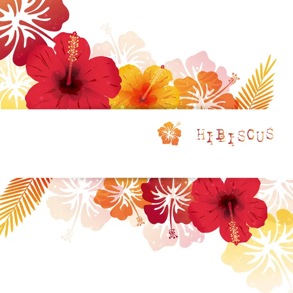 Illustratie Achtergrond Van Hibiscus Bloemen Vectorbeelden