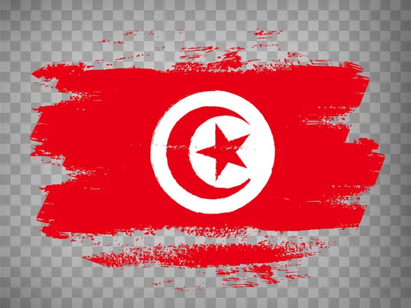 Drapeau Tunisie Fond Coup Pinceau Drapeau République Tunisienne Sur Fond — Image vectorielle