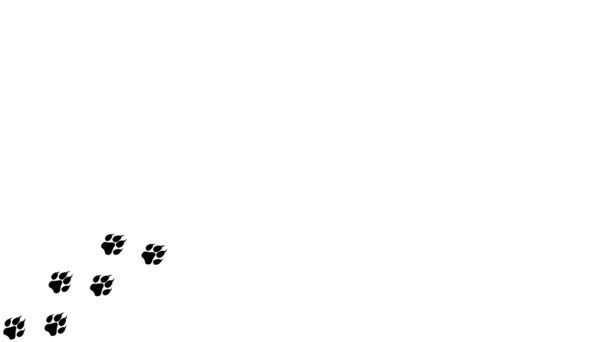 环行动画的黑色轮廓的脚印的狗 卡通人物滑稽的狼沿着小路印着 沿着运动路径前进的轨迹 狗爪的动画印在白色的背景上 — 图库视频影像