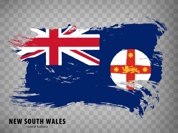 Yeni Güney Galler Bayrağı Fırça Darbeleri Nternet Sitenizin Tasarımı Logosu — Stok Vektör