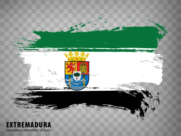 Flag Extremadura Brush Strokes Flag Autonomous Community Extremadura Title Transparent — Stock Vector