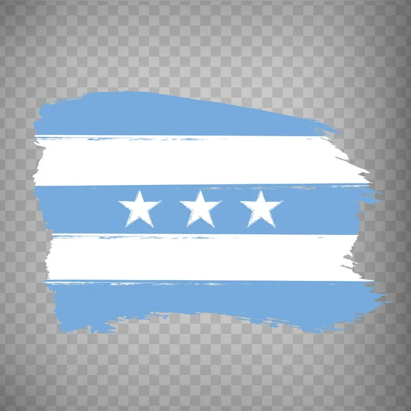 Flag Guayas Province Brush Strokes Flag Guayas Province Transparent Background — Stock Vector