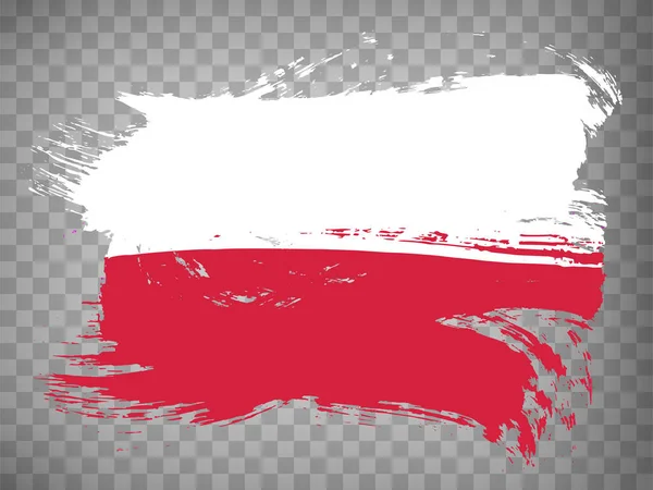 Σημαία Δημοκρατία Της Πολωνίας Πινέλο Εγκεφαλικό Φόντο Κυματιστή Σημαία Πολωνία — Διανυσματικό Αρχείο