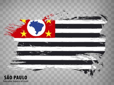 Fırça darbelerinden Sao Paulo bayrağı. Brezilya Federal Cumhuriyeti. Brezilya 'nın Flag Sao Paulo' sunu web sitesi tasarımı, uygulaması, UI için şeffaf arka planda sallamak. Brezilya. EPS10.