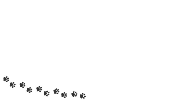 Pegadas Pata Animal Cartoon Quadrinhos Patas Engraçadas Longo Caminho Pegadas — Vídeo de Stock