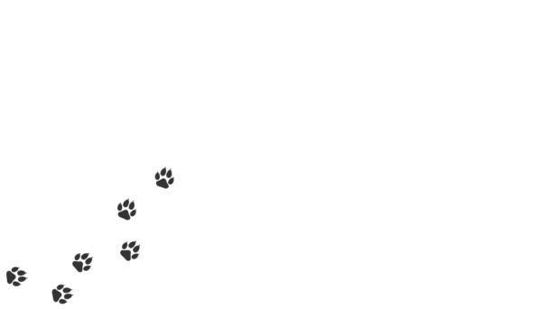 动物爪子的宠物指纹 漫画家滑稽的爪子沿着小路走着 行走在运动轨迹上的脚印动物 狗爪在白色背景上打印出一个圆形框架 — 图库视频影像