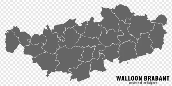 Κενό Χάρτη Επαρχία Walloon Brabant Του Βελγίου Υψηλής Ποιότητας Χάρτης Εικονογράφηση Αρχείου