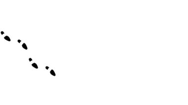 Human footprint animation. Leaving  shoes  prints on the floor from  left to right. Walk loop animation, graphic motion. Human steps footage video  on white background. 4K.  Video