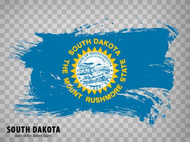 Fırça darbelerinden Güney Dakota bayrağı. Amerika Birleşik Devletleri. Güney Dakota Bayrak Eyaleti 'ni web sitesi tasarımı, uygulaması ve UI için şeffaf arka planla dalgalandırmak. ABD. Vektör çizimi. EPS10.