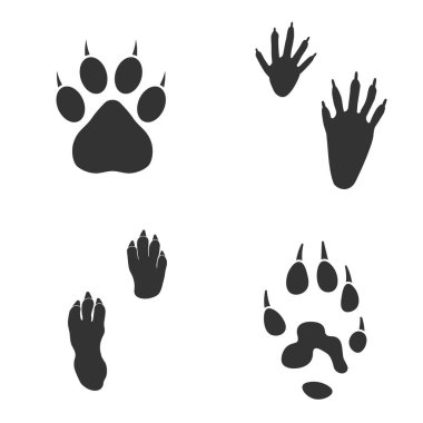 Hayvanın ayak izleri, kedi, gelincik, rakun ve beyaz arka planda kobay izleri. Gri renkli siluet hayvan izleri. Dizaynınız için Paw Print. Vektör çizimi. EPS10.