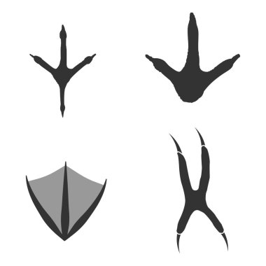 Kuş ayak izleri siluetleri beyaz zemin üzerinde izole edilmiş, örneğin gri logo fikri gibi. Baykuş, ördek, serçe, güvercin ayak izleri. Hisse senedi. EPS10.