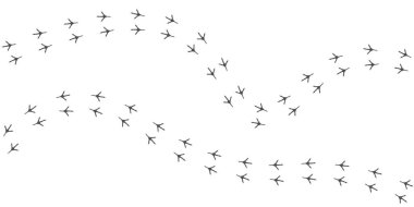 Beyaz arka planda izole edilmiş kuşun vektör izi. Serçe ayak izi silueti izleri. Paw Print. Vektör çizimi. EPS10.