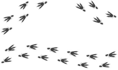 Beyaz arka planda izole edilmiş kuşun vektör izi. Penguen izleri. Penguen 'in ayak izleri. Paw Print. Vektör çizimi. EPS10.