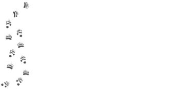 Hayvan pençesi izleri. Çizgi film komik patileri yol boyunca. Hareket halinde yürüyen bir hayvanın ayak izleri. Panda pençe izleri beyaz arkaplanda dikdörtgen bir çerçeve oluşturuyor. Metin uzayı. 4 bin. Canlandırılmış Video