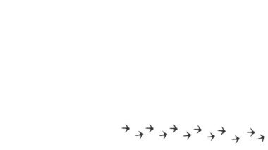 Hayvan pençesi izleri. Çizgi film komik patileri yol boyunca. Hareket yörüngesinde yürüyen kuşun ayak izleri. Güvercin pençesi izleri beyaz arkaplanda dikdörtgen bir çerçeve oluşturuyor. Metin uzayı. 4 bin. Canlandırılmış Video