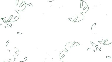 Soyut kağıt canavar yaprakları beyaz arkaplanda ve metin alanında beliriyor, botanik duvar kağıdı yatay video, orman canlı görüntüsü, el sallayan yaprak hareketi tasarımı. Canlandırılmış Video