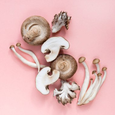 Taze mantarları kapatın, üst görünüm 