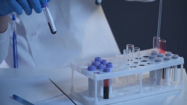 实验室里研究血液样本的科学家 实验室分析人员分析了血液流变图 医生或病理学家把人的红血滴在玻璃板上 识别病毒的生物材料 — 图库视频影像