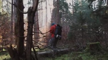 Dışarıdaki maceraperest adam ormanda sırt çantasıyla geziyor, vahşi doğada. Sonbahar orman yollarında sırt çantasıyla tek başına. Seyahat konsepti. Sonbahar ormanlarında yürüyen bir gezgin. İskandinav doğasının tadını çıkarmak