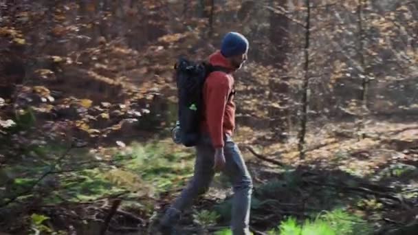 Man Walking Autumn Forest Cold Sunny Weather Backpack Leisure Activity — Stock Video