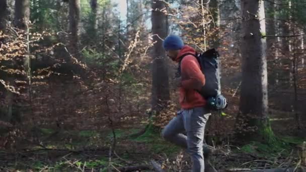 Wandern Wald Reisen Aktiver Gesunder Lebensstil Abenteuer Urlaubskonzept Mann Irrt — Stockvideo