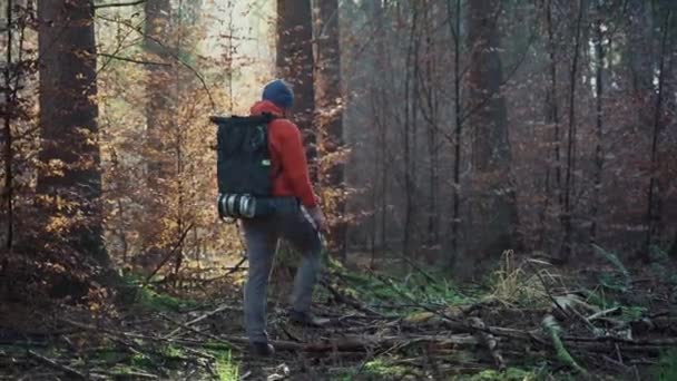 Hombre Caminando Bosque Otoñal Clima Frío Soleado Con Mochila Actividad — Vídeos de Stock