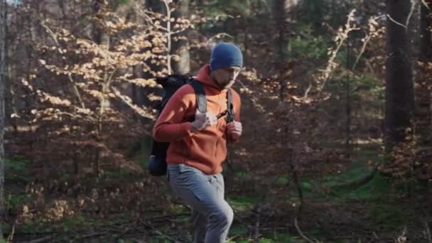Dışarıdaki Maceraperest Adam Ormanda Sırt Çantasıyla Geziyor Vahşi Doğada Sonbahar — Stok video