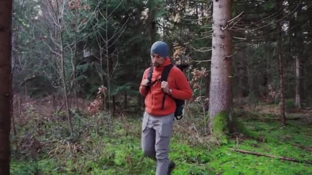 Yürüyüş Orman Seyahat Aktif Sağlıklı Yaşam Tarzı Macera Tatil Konsepti — Stok video