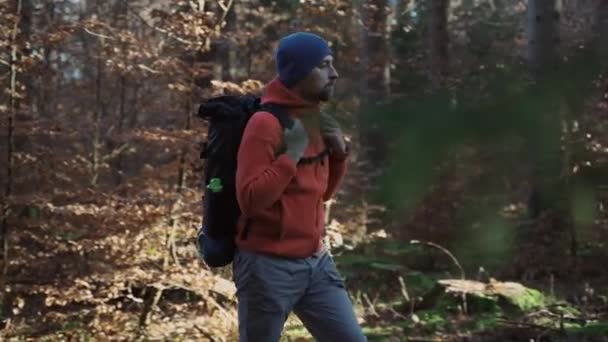 Soğuk Güneşli Bir Havada Sırt Çantalı Bir Adam Sonbahar Ormanında — Stok video