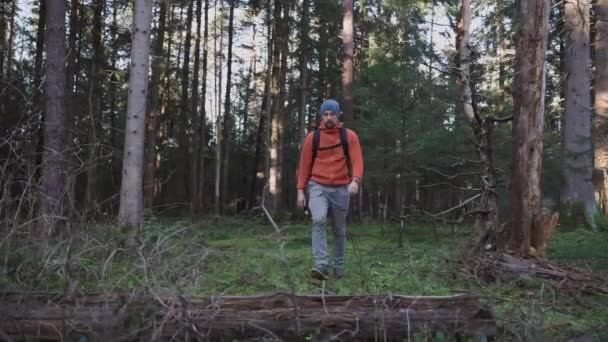 Outdoor Abenteurer Mann Wandert Mit Rucksack Durch Wälder Weg Die — Stockvideo