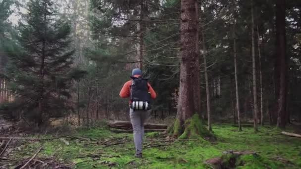 Seorang Pria Berjalan Hutan Musim Gugur Dalam Cuaca Dingin Yang — Stok Video