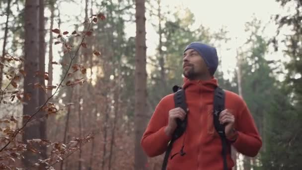 Man Går Höstskog Kallt Soligt Väder Med Ryggsäck Fritidsaktivitet Helg — Stockvideo