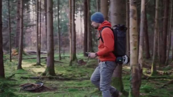 秋の森の中を移動するためにモバイルアプリケーションを使用してハイカー パスファインダーは森の中で最善の方法を見つけようとします アクティブライフスタイル ツアーコンセプト バックパッキング旅行 ルートの後だ 荒野で迷子になった — ストック動画