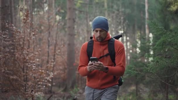 秋のアウトドアハイキング中に森の中でナビゲーションにスマートフォンを使用します 森林を歩くに沿って電話でGpsナビゲーションアプリケーションを使用して旅行者 地理的位置決めシステム — ストック動画