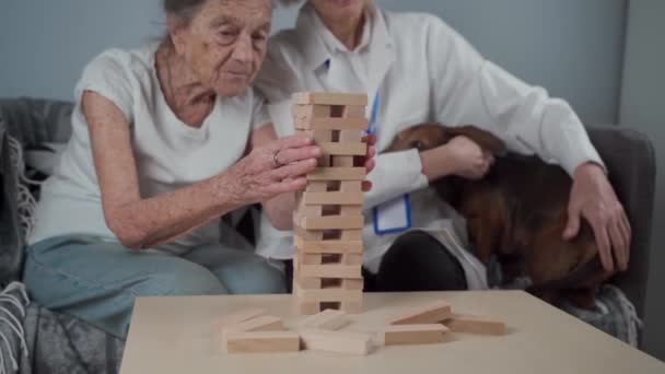 Terapia Animal Cuidado Ancianos Que Sufren Demencia Enfermedad Alzheimer Mujer — Vídeo de stock