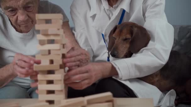 Терапия Слабоумия Врач Собака Играют Образовательную Настольную Игру Пожилым Пациентом — стоковое видео