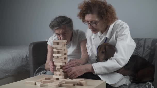 Terapia Demencji Lekarz Pies Grają Edukacyjną Grę Stołową Starszym Pacjentem — Wideo stockowe
