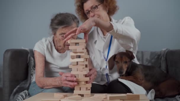 Terapia Demencji Lekarz Pies Grają Edukacyjną Grę Stołową Starszym Pacjentem — Wideo stockowe