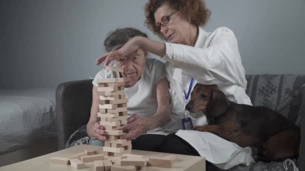 动物治疗 照料老年痴呆症和老年痴呆症患者 老年妇女和医生在退休中心用木块进行运动技能和大脑训练 — 图库视频影像