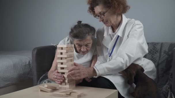 Terapia Animal Cuidado Ancianos Que Sufren Demencia Enfermedad Alzheimer Mujer — Vídeo de stock