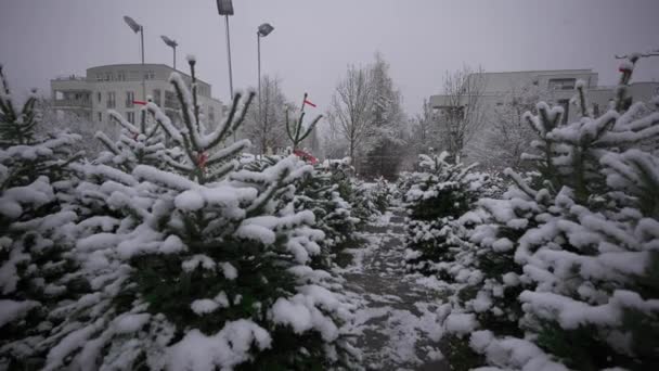 Mercado Local Vendendo Árvores Natal Queda Neve Munique Alemanha Mercado — Vídeo de Stock