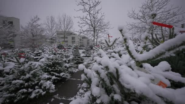 Rijen Bedekt Met Sneeuwbontbomen Met Kerst Nieuwjaar Kermis Bij Sneeuwweer — Stockvideo