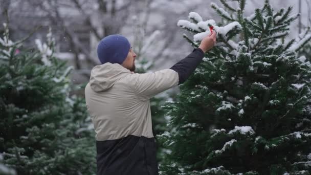 男は雪の屋外市場でクリスマスツリーを選択し 妻と電話で話し 正しい選択について彼女に助言する クリスマスと新年の休日のシンボル NyeとXmasのホリデーショッピング — ストック動画